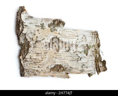 Die Vorderseiten eines Stückes Birkenrinde. Isoliert auf weißem Hintergrund Stockfoto