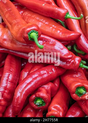 Nahaufnahme von frisch reifen Ramiro-Paprika Stockfoto