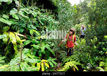 Mutter und Sohn wandern in dichter tropischer Vegetation auf dem Weg zum Wasserfall Cascata da Ribeira Grande, Flores Island, Azoren, Portugal Stockfoto