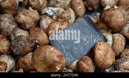 LONDON, Großbritannien - 14. JULI 2021: CEP-Pilze auf einem Marktstand Stockfoto