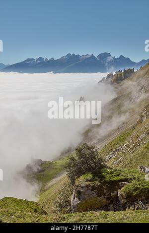 Wolkenbedecktes Rheintal mit Alvier-Gruppe im Hintergrund - Appenzeller Alpen, Saxerluecke, Schweiz Stockfoto