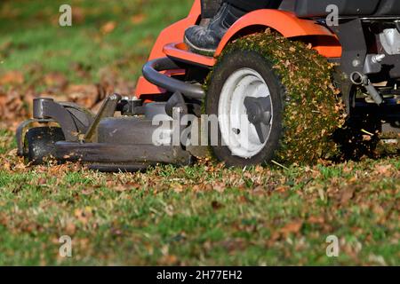 Eine Person auf einer Fahrt mit dem Rasenmäher, die an einem sonnigen Herbsttag das Gras mäht und herbstlich gefallene Blätter mulcht Stockfoto