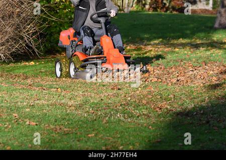 Eine Person auf einer Fahrt mit dem Rasenmäher, die an einem sonnigen Herbsttag das Gras mäht und herbstlich gefallene Blätter mulcht Stockfoto