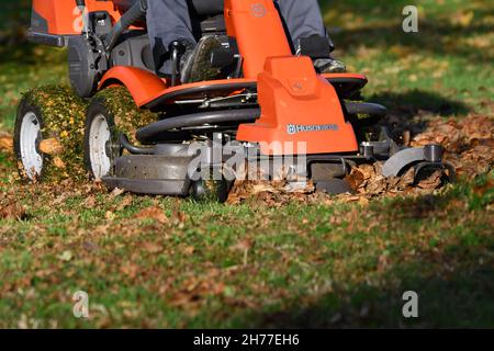 Eine Person auf einer Fahrt mit dem Rasenmäher, die an einem sonnigen Herbsttag das Gras mäht und herbstlich gefallene Blätter mulcht Stockfoto