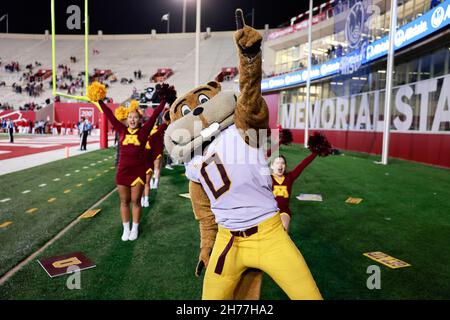 Bloomington, Usa. 20th. November 2021. Minnesota Cheerleader und Maskottchen, Golfy, jubeln gegen Indiana University während eines NCAA Fußballspiels im Memorial Stadium in Bloomington, Ind. IU verlor Minnesota 35-14. (Foto von Jeremy Hogan/SOPA Images/Sipa USA) Quelle: SIPA USA/Alamy Live News Stockfoto