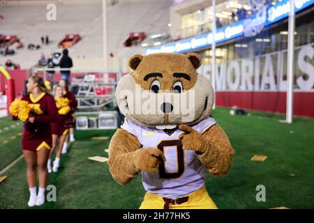 Bloomington, Usa. 20th. November 2021. Minnesota Cheerleader und Maskottchen, Golfy, jubeln gegen Indiana University während eines NCAA Fußballspiels im Memorial Stadium in Bloomington, Ind. IU verlor Minnesota 35-14. (Foto von Jeremy Hogan/SOPA Images/Sipa USA) Quelle: SIPA USA/Alamy Live News Stockfoto