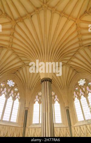 Innenansicht der Wells Cathedral - die prächtige gewölbte Decke des kreisförmigen Chapter House, Somerset, England, UK Stockfoto