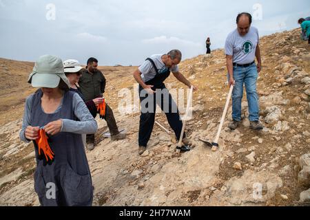 Die Rehabilitation der alten Wasserfabriken, die von lokalen palästinensischen Hirten von der israelischen Aktivistenorganisation „Warriors for Peace“ am Tag des ersten Regens im nördlichen Jordantal genutzt wurden. Die Brunnen sind eine kritische Infrastruktur im Zusammenhang mit Wasserknappheit und mangelnder Wasserversorgungsinfrastruktur für die palästinensischen ländlichen Schäfergemeinden, deren Weideflächen aufgrund der expandierenden jüdischen Siedlung schrumpfen. Das Westjordanland. Am 19th 2021. November. ( Matan Golan/Alamy Live News) Stockfoto