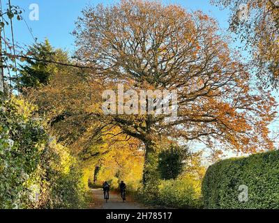 Radfahrer fahren auf herbstlichen Wegen in der Nähe von Hambledon, Hampshire. Bilddatum: Sonntag, 21. November 2021. Stockfoto