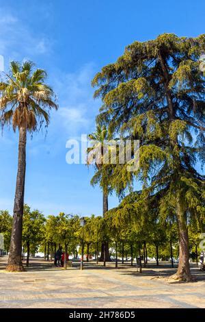 Parque Alameda Vieja en Jerez de la Frontera en la Provincia de Cádiz, Belleza y Detalles / Alameda Vieja Park en Jerez de la Frontera, Cádiz Stockfoto