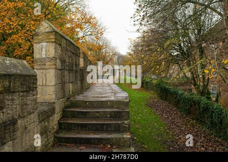 Nasse Treppen auf den Spuren der mittelalterlichen Stadtmauer aus Stein aus dem 13th. Jahrhundert durch farbenfrohe Herbstfärbung in York England Stockfoto