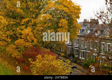 Wunderschöne farbenfrohe Herbstbäume über britischen Ziegelterrassenhäusern in York England Stockfoto