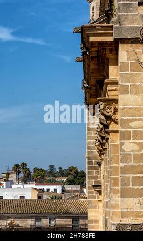 Catedral de Jerez de la Frontera, alle de las gárgolas en el lateral, Cádiz, España Stockfoto