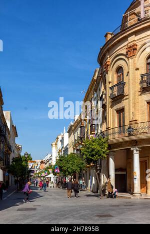 Él Gallo Azul en Jerez de la Frontera Stockfoto