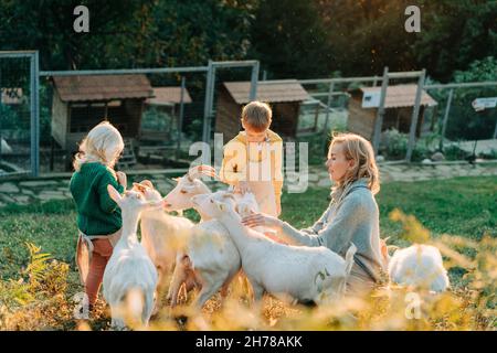 Mama mit kleinen Kindern auf dem Bauernhof füttern die niedlichen Ziegen. Ländliche Leben, Landwirtschaft, Land. Stockfoto