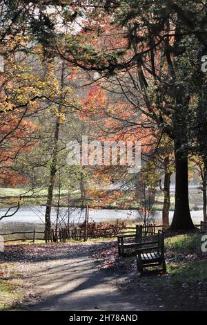 Herbst im park Stockfoto