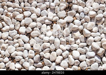 Runde weiße Kieselsteine für Textur Stockfoto