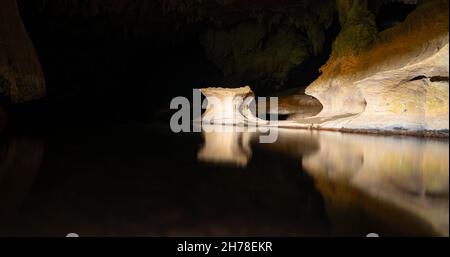Beleuchteter, leuchtender Wurmhimmel in Dark Cave, Waipu Caves, North Island, Neuseeland Stockfoto