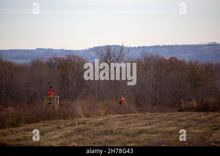 Jäger in orangefarbenen Mänteln sitzen auf hohen Sitzen in der Nähe von Marche in den belgischen ardennen Stockfoto