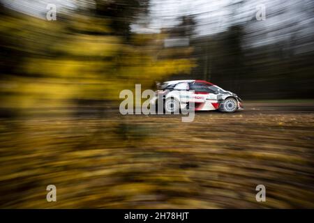 01 Ogier Sebastien (Fra), Ingrassia Julien (Fra), Toyota Gazoo Racing WRT, Toyota Yaris WRC, Aktion während der ACI Rally Monza, 12. Lauf der FIA WRC 2021, FIA World Rally Championship, vom 18. Bis 21. November 2021 in Monza, Italien - Foto: Nikos Katikis/DPPI/LiveMedia Stockfoto