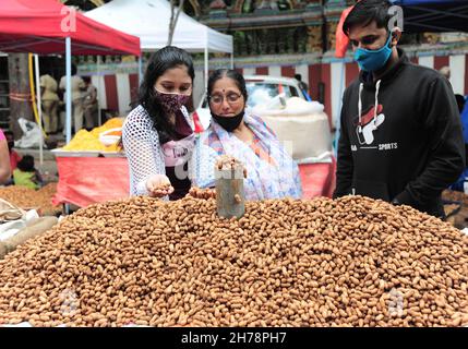 Bangalore, Indien. 21st. November 2021. Bauern verkaufen Erdnüsse auf der jährlichen Erdnussmesse in Bangalore, Indien, am 21. November 2021. Quelle: Str/Xinhua/Alamy Live News Stockfoto