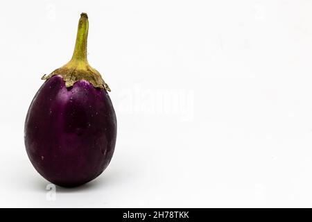Eine Nahaufnahme einer Aubergine/Aubergine vor weißem Hintergrund Stockfoto