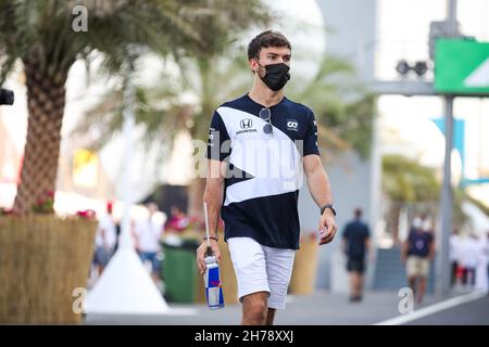 GASLY Pierre (Fra), Scuderia AlphaTauri Honda AT02, Portrait während des Formel 1 Ooredoo Qatar Grand Prix 2021, 20. Lauf der FIA Formel 1 Weltmeisterschaft 2021 vom 19. Bis 21. November 2021 auf dem Losail International Circuit, in Lusail, Katar - Foto: Florent Gooden/DPPI/LiveMedia Stockfoto