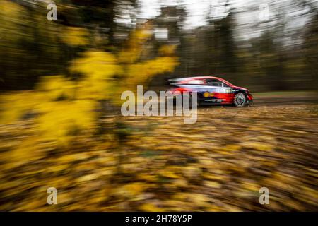 06 Sordo Dani (Spa), Carrera Candido (Spa), Hyundai Shell Mobis World Rally Team, Hyundai i20 Coupe WRC, Aktion während der ACI Rally Monza, 12. Lauf der FIA WRC 2021, FIA World Rally Championship, vom 18. Bis 21. November 2021 in Monza, Italien - Foto: Nikos Katikis/DPPI/LiveMedia Stockfoto