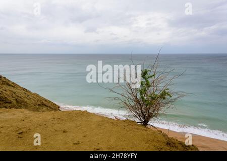 Blick von den Stränden von oman Meer mit Baum im Vordergrund in chabahar, belutschistan Provinz, iran Stockfoto