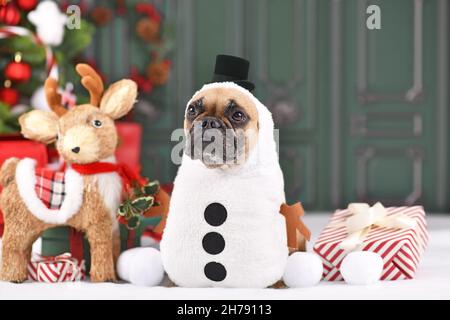 Lustige französische Bulldogge Hund trägt Schneemann Winterkostüm mit Stielarmen und Zylinderhut umgeben von Weihnachtsdekoration Stockfoto