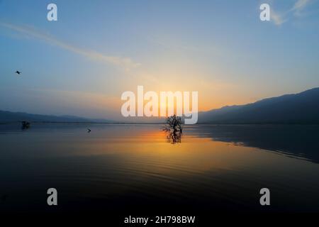 Sonnenuntergang am Kerkini-See in Zentralmakedonien, Griechenland, aufgenommen von einem Boot auf dem See, zeigt Kormorane, die auf einem toten Baum sitzen Stockfoto