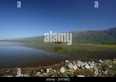 Kerkini-See in Zentralmakedonien, Nordgriechenland im Frühjahr Stockfoto