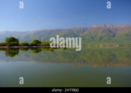 Kerkini-See in Zentralmakedonien, Nordgriechenland im Frühjahr Stockfoto