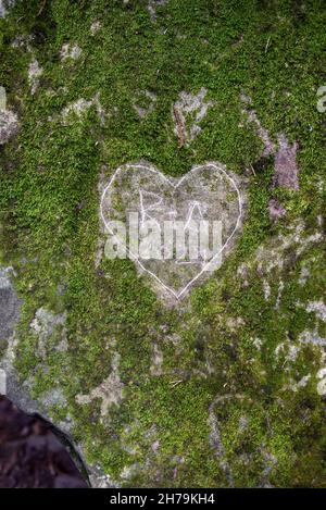 Grünes Herz in Moss oder auf Mossy Boulder oder Moss-Covered Rock geschnitzt Stockfoto