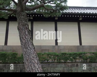 (東本願寺), oder ″das östliche Kloster des ursprünglichen Gelübdes″, ist eine von zwei dominierenden Untersekten des Shin-Buddhismus in Japan. Stockfoto