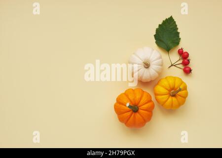 Festliche Herbstkomposition aus Kürbissen und Beeren auf beigem Hintergrund mit Kopierfläche Stockfoto