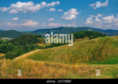 Schöne Sommerlandschaft des Nationalparks – Niedere Tatra, Slowakei. Hügel mit trockenem Gras, grünen Bäumen und blauem Himmel. Stockfoto