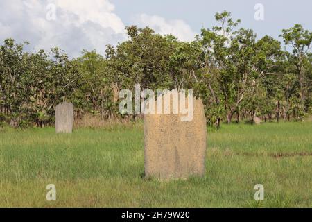 Magnetische Termitenhügel im Litchfield National Park, Northern Territory, Australien. Stockfoto