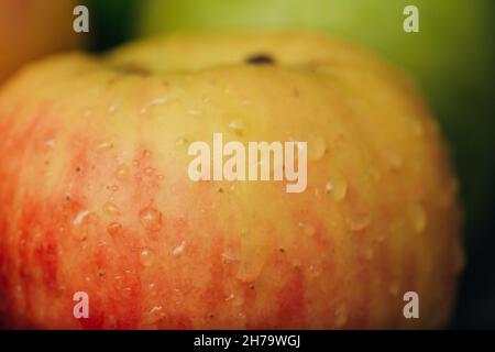 Apfel Nahaufnahme mit Wassertröpfchen auf dem Peel Stockfoto