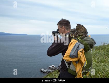 Ein Fotograf reist mit der Kurilian Bobtail Katze. Ausgezeichnete Kommunikation mit unbekannten freundlichen Katze. Stockfoto