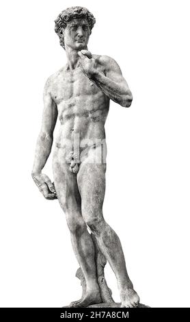 Ansicht des David von Michelangelo isoliert auf weißem Hintergrund Stockfoto