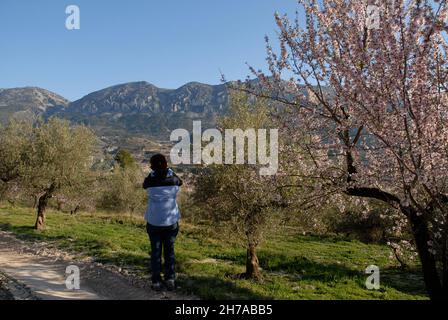 Person von hinten, die ein Foto im Val de CETA macht, aus der Gegend von Balones mit Blick auf die Felsformation Quatretondeta und Els Frares in der Provinz Alicante Stockfoto