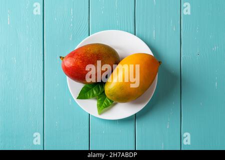 Zwei ganze reife Palmer Mangos auf einem weißen Teller über einem türkisfarbenen Holztisch. Bereit, rot und gelb süß leckere Mango zu essen. Mangifera Indica Frucht. Stockfoto