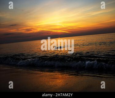 Eine wunderschöne, niedliche Stockente, die während des Sonnenuntergangs in der welligen Ostsee schwimmt Stockfoto