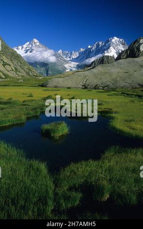 FRANKREICH. HAUTE-SAVOIE (74) MASSIV DU MONT-BLANC, IN DER NÄHE DES DORFES VALLORCINE. VAL DE TRE LES EAUX UND DIE NADEL VON CHARDONNET (AIGUILLE DU CHARDON Stockfoto