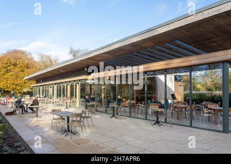 Cafe in the Park, Virginia Water Lake (Windsor Great Park) im Herbst, Virginia Water, Surrey, England, Vereinigtes Königreich Stockfoto