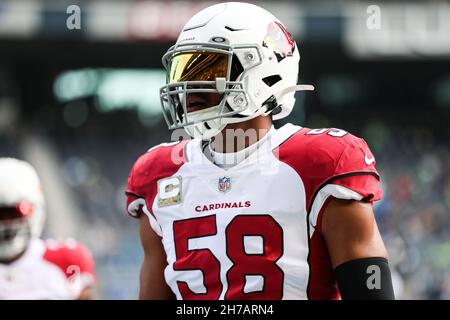 Seattle, USA. Seattle, WA, USA. 21st. November 2021. Jordan Hicks (58) erwärmt sich vor einem Spiel zwischen den Arizona Cardinals und Seattle Seahawks im Lumen Field in Seattle, WA. Sean BrownCSM/Alamy Live News Credit: CAL Sport Media/Alamy Live News Stockfoto