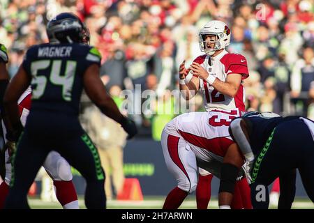 Seattle, USA. Seattle, WA, USA. 21st. November 2021. Arizona Cardinals Quarterback Colt McCoy (12) ruft während eines Spiels zwischen den Arizona Cardinals und Seattle Seahawks im Lumen Field in Seattle, WA, hörbar. Sean Brown/CSM/Alamy Live News Credit: CAL Sport Media/Alamy Live News Stockfoto