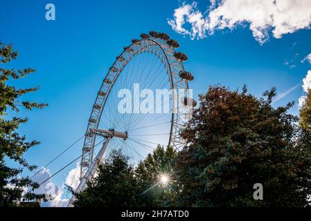 Blick auf das London Eye bei Sonnenuntergang. London Eye Stockfoto
