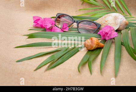 Muscheln und Sonnenbrillen auf braunem Hintergrund. Touristische Dekorationen mit rosa Blumen Stockfoto